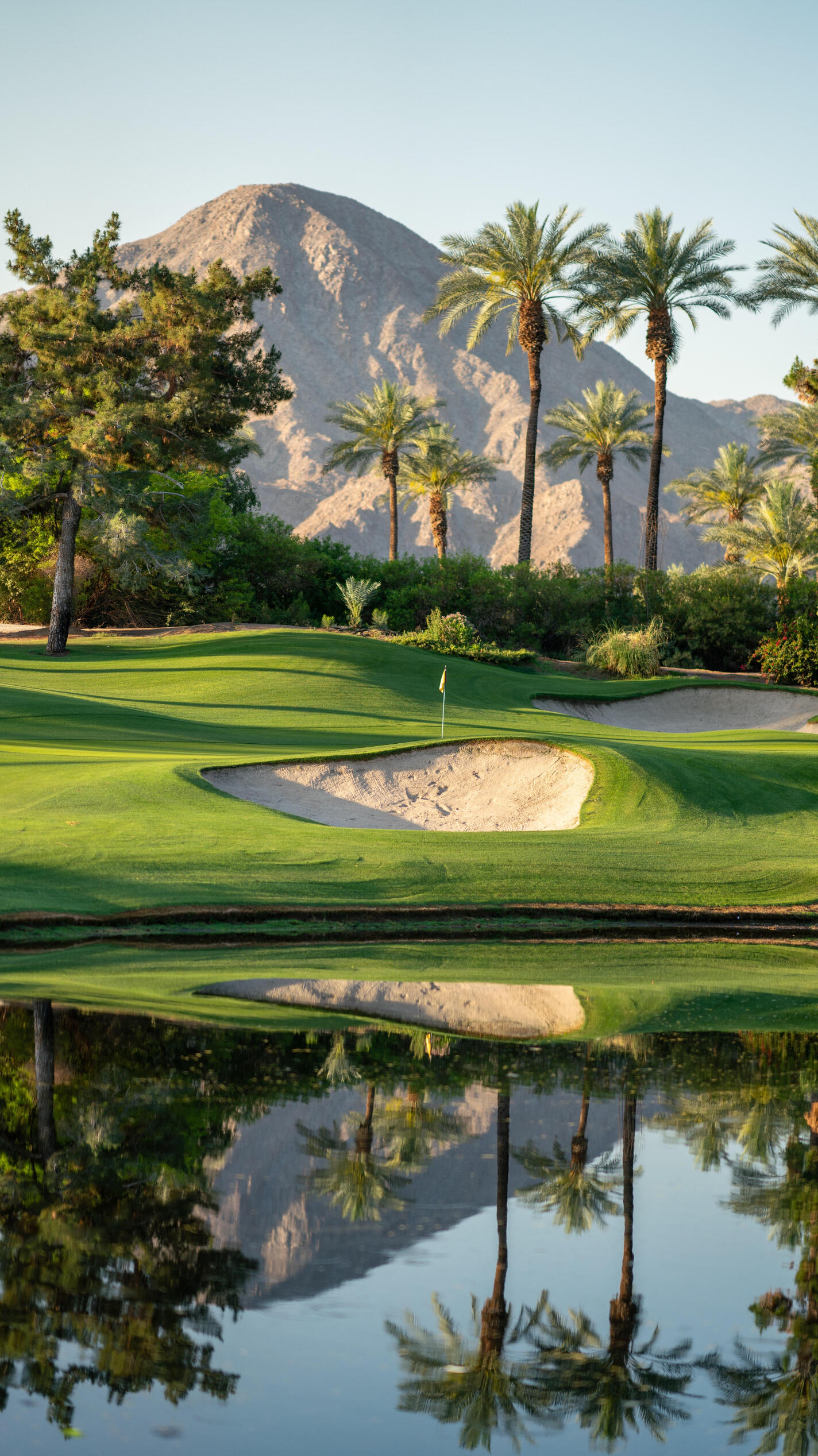 Golf Contest winner for a new driver