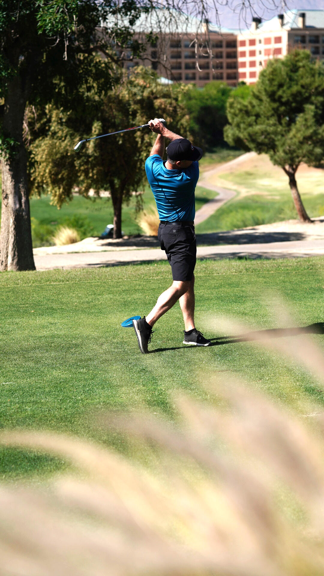 Taken from in the bush